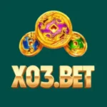 X03